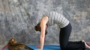 yoga avec chat